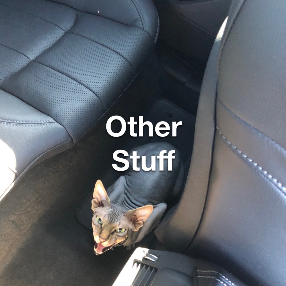 Small bags/wallets/charms/etc